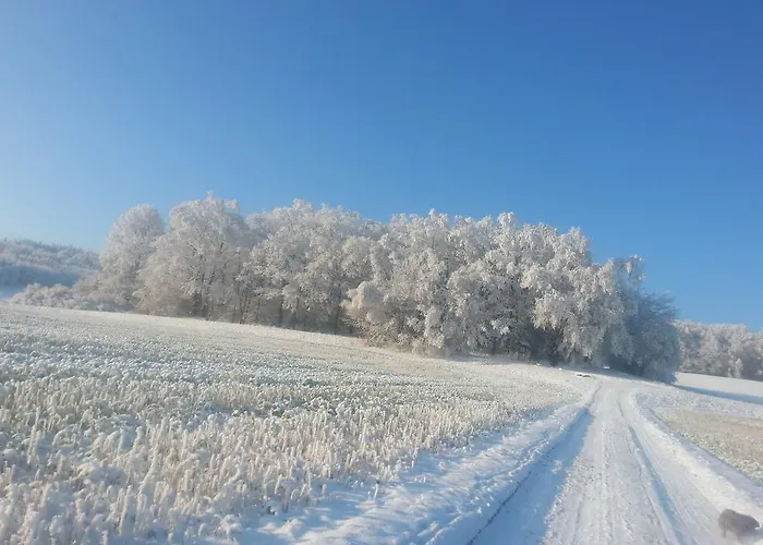 Apartment Am Bieleboh Beiersdorf